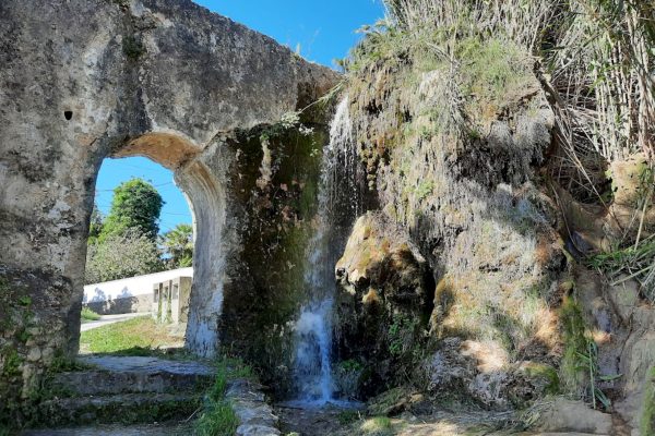 Vive vejer santa lucia